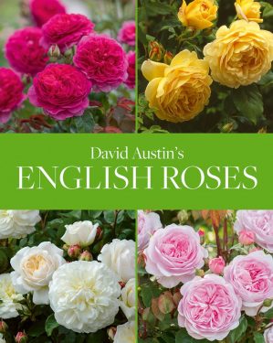 David Austin's English Roses (2020)