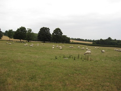 Jane Austen Tour 2013 Kent countryside