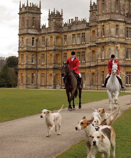 DA A Celebration fox hunting x 450