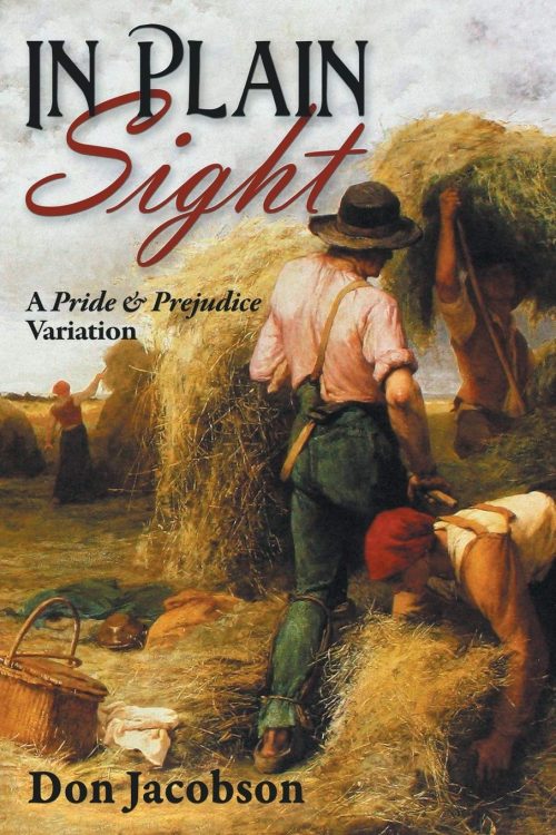 In Plain Sight by Don Jacobson 2020